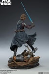 Anakin Skywalker™ Mythos