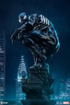 Symbiote Spider-Man View 18