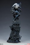 Symbiote Spider-Man View 19