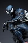 Symbiote Spider-Man View 13