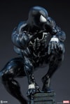 Symbiote Spider-Man View 32