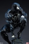 Symbiote Spider-Man View 15