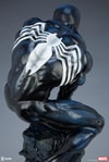 Symbiote Spider-Man View 17