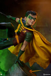 Robin Collector Edition View 31