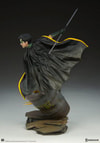 Robin Collector Edition View 27