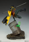 Robin Collector Edition View 25