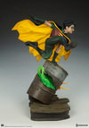Robin Collector Edition View 23