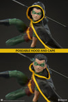 Robin Collector Edition View 21