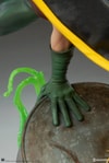 Robin Collector Edition View 18