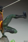 Robin Collector Edition View 14