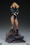 Black Canary View 23