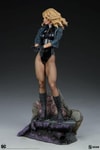 Black Canary View 22