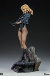 Black Canary View 21