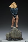 Black Canary View 20