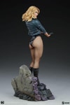 Black Canary View 19