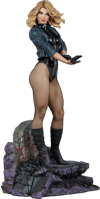 Black Canary View 29