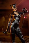 Catwoman Collector Edition View 16