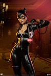 Catwoman Collector Edition View 29