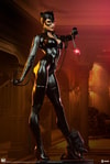 Catwoman Collector Edition View 28