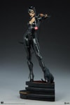 Catwoman Exclusive Edition View 28