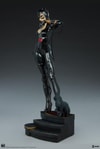 Catwoman Collector Edition View 24