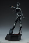Catwoman Collector Edition View 22