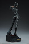 Catwoman Collector Edition View 21