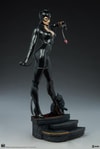 Catwoman Exclusive Edition View 23