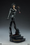 Catwoman Collector Edition View 20
