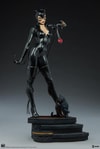 Catwoman Collector Edition View 19