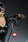Catwoman Collector Edition View 14