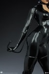 Catwoman Collector Edition View 13