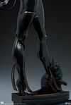 Catwoman Collector Edition View 10