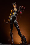 Catwoman Exclusive Edition View 33
