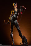 Catwoman Collector Edition View 30