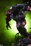 Venom View 1