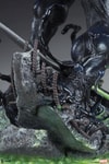 Venom View 19