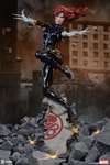 Black Widow View 1