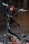 Black Widow View 19