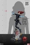Black Widow View 23