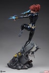 Black Widow View 25