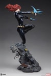 Black Widow View 26