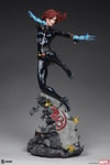 Black Widow View 20