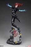 Black Widow View 27