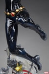 Black Widow View 18