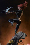Black Widow View 11
