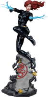 Black Widow View 36