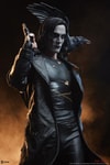 The Crow View 13