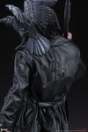 The Crow View 11