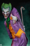 The Joker (Prototype Shown) View 14